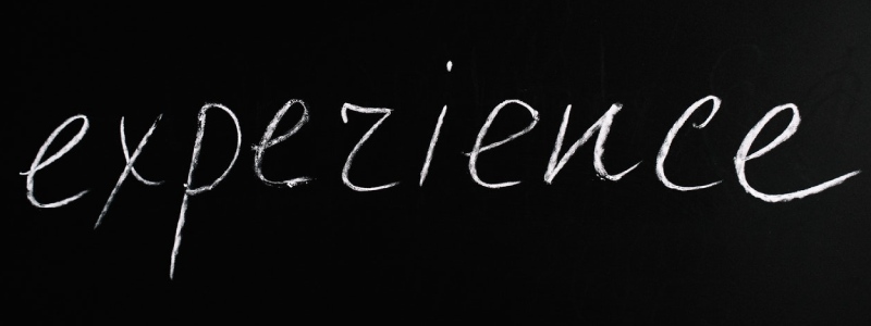 frases sobre treinamento e desenvolvimento de pessoas