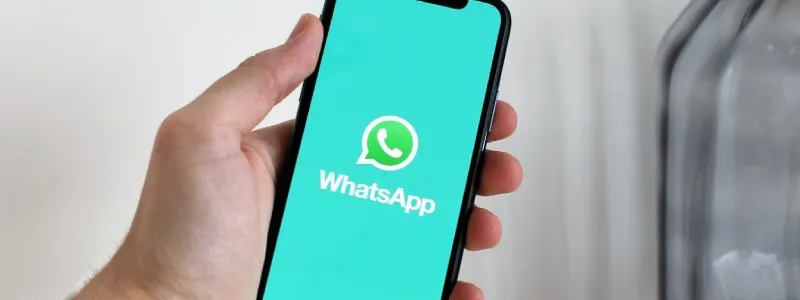 Como divulgar cursos em grupos de WhatsApp? 5 dicas valiosas