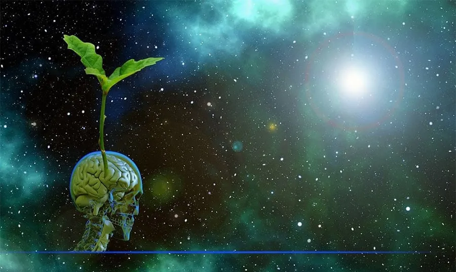 Como desenvolver consciência ambiental na empresa?